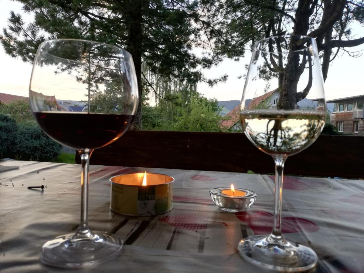 Ferienwohnung Bliem Feldkirchen in Kärnten Zewnętrze zdjęcie